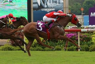 Nova Strike was impressive in the Listed Moonbeam Vase, and has now earned more than S$1.2 million in prize money.